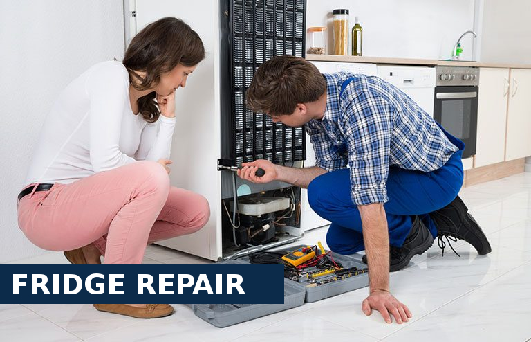 Fridge Repair Teddington